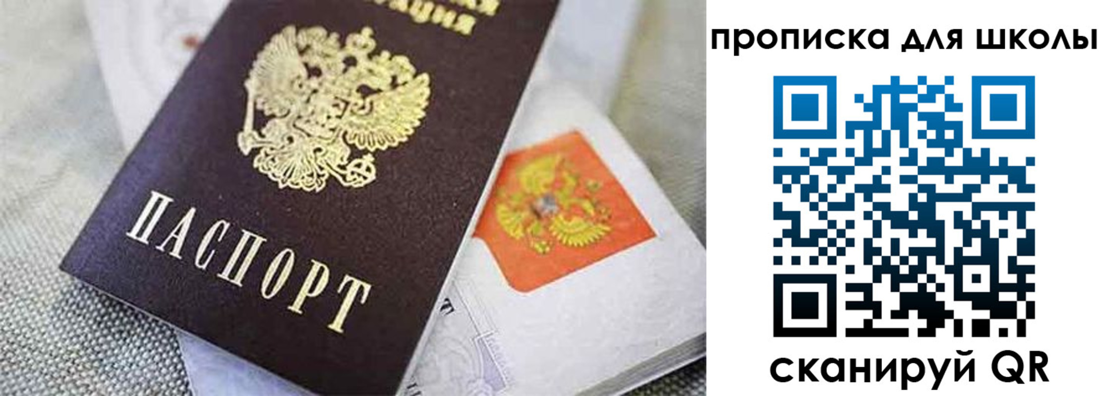прописка штамп в Балтийске