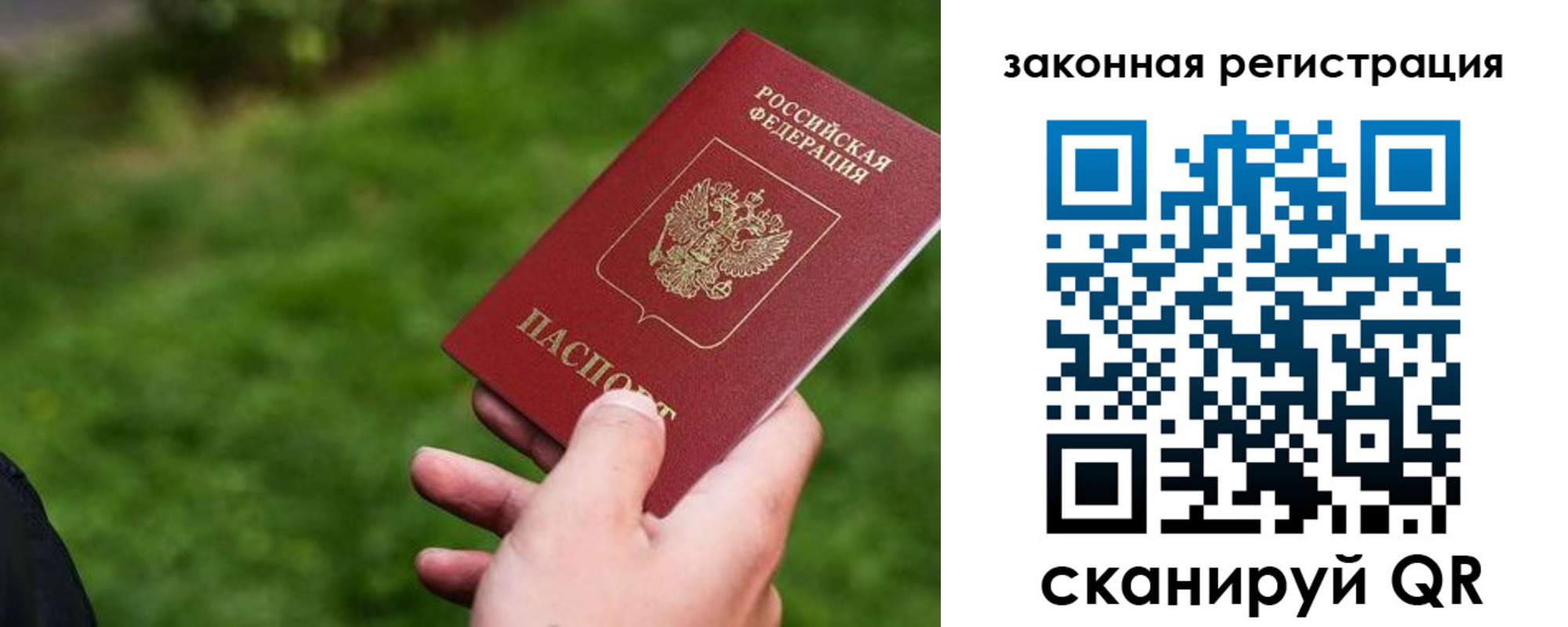 прописка законно в Балтийске